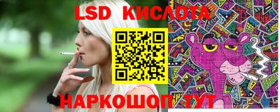 твердый Новозыбков