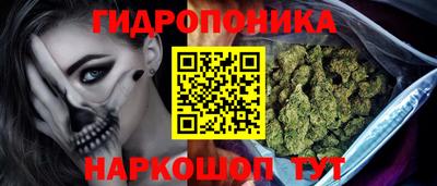 спиды Новокубанск