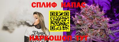 спиды Новокубанск