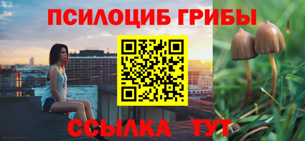 Псилоцибиновые грибы Cubensis  Вход с VPN  Узловая 